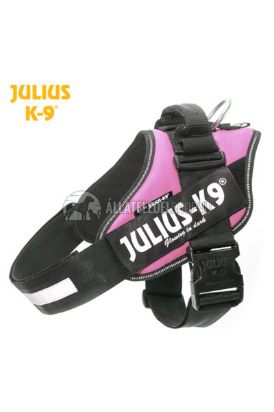 Julius K-9 IDC Powerhám 2 Pink