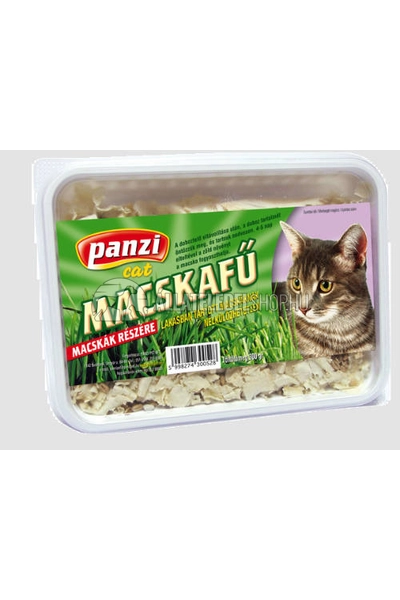 Panzi Macskafű