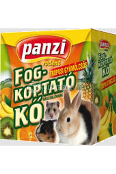 Panzi - Rodent fogkoptató rágcsálóknak tropusigyümölcsös