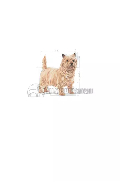 Royal Canin - Mini Light Weight Care kutyatáp 8kg