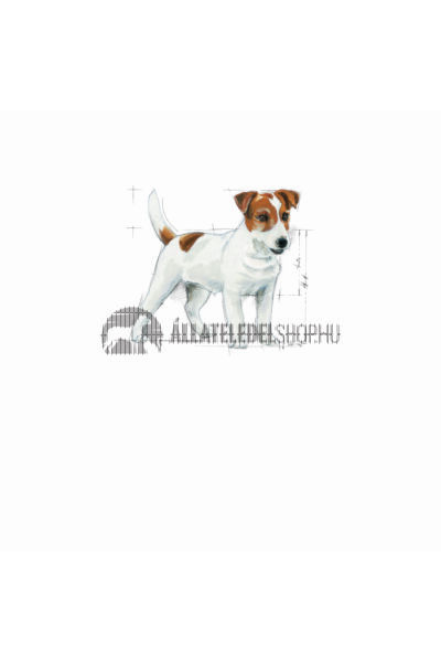 Royal Canin - Mini Adult kutyatáp 4kg