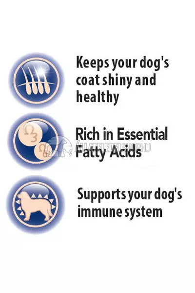 FitActive - Dog FIT-a-SKIN vitamin 60db