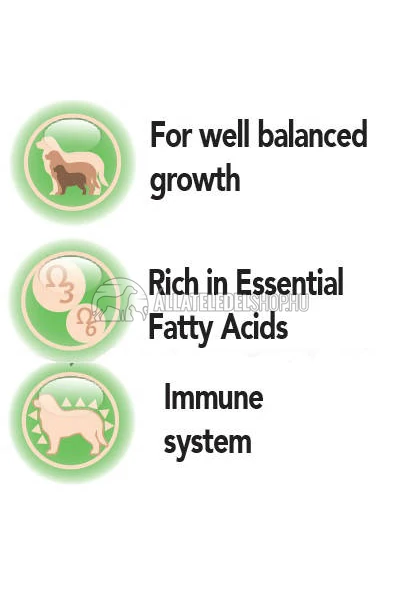 FitActive - Dog FIT-a-PUP UP vitamin 60db