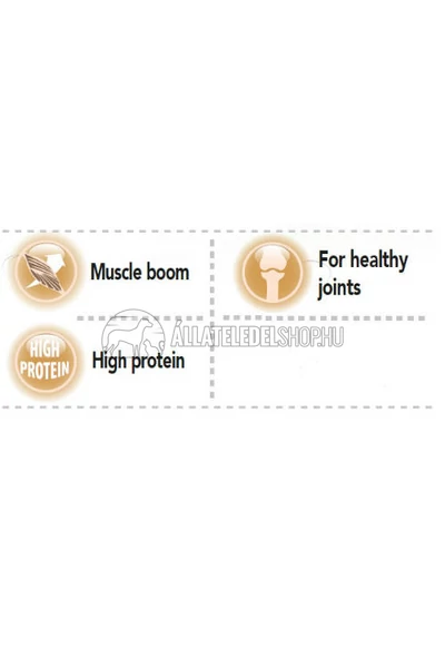 FitActive - Dog FIT-a-MAX vitamin 90db