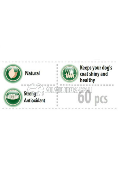 FitActive - Dog FIT-a-BROCCOLI vitamin 60db